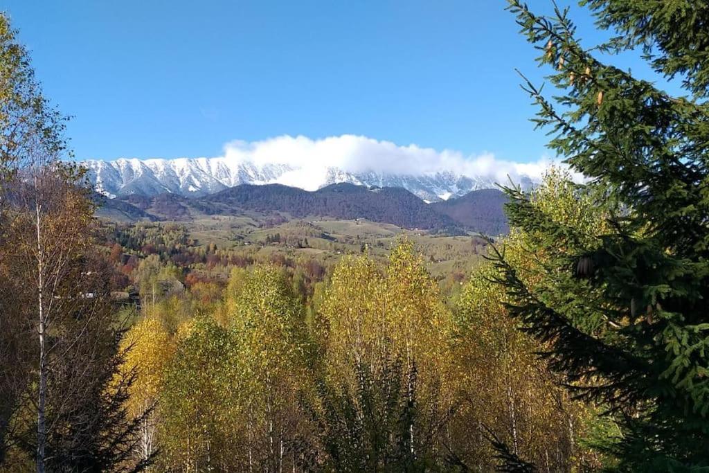Vila Serar Moieciu de Jos Buitenkant foto