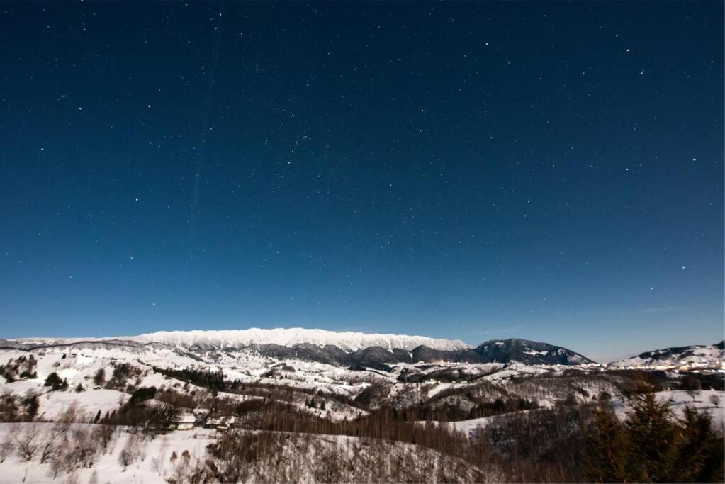 Vila Serar Moieciu de Jos Buitenkant foto