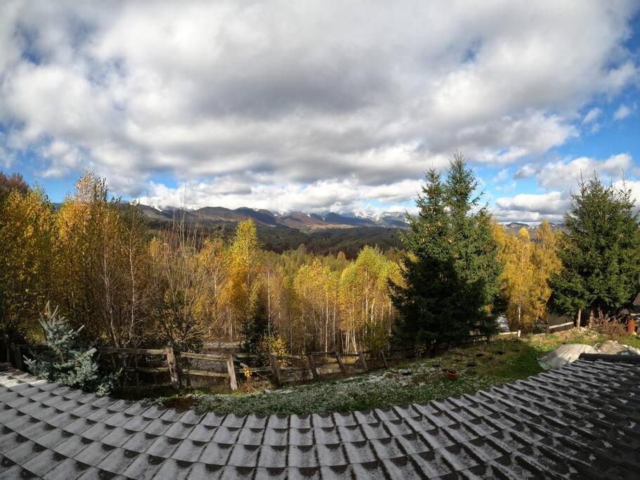 Vila Serar Moieciu de Jos Buitenkant foto